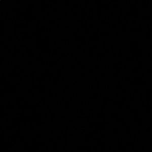 Meet your Posher, Rayven